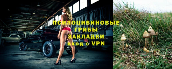 молекула духа Аркадак