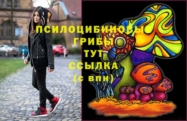 стафф Арсеньев