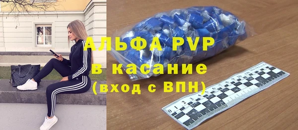 стафф Арсеньев