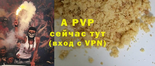 стафф Арсеньев