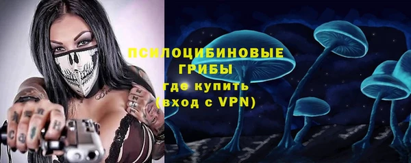 молекула духа Аркадак