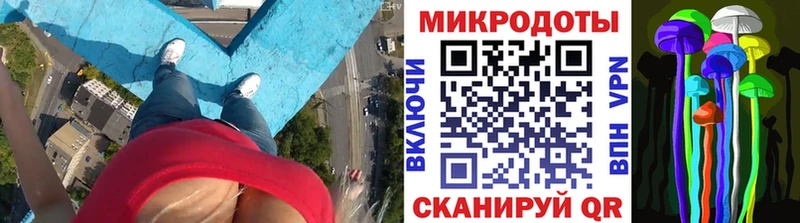 где продают   Лобня  Галлюциногенные грибы прущие грибы 