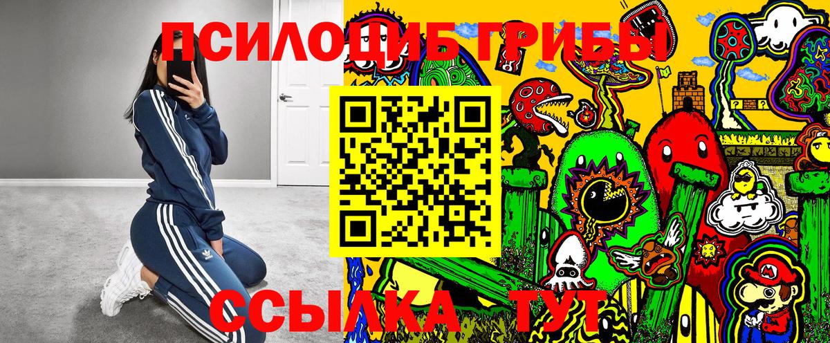Лобня  Псилоцибиновые грибы мицелий  Вход с VPN 