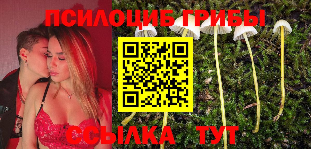 Псилоцибиновые грибы MAGIC MUSHROOMS  Псилоцибиновые грибы мухоморы  Лобня 