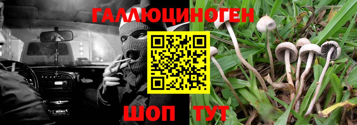 Галлюциногенные грибы ЛСД Лобня